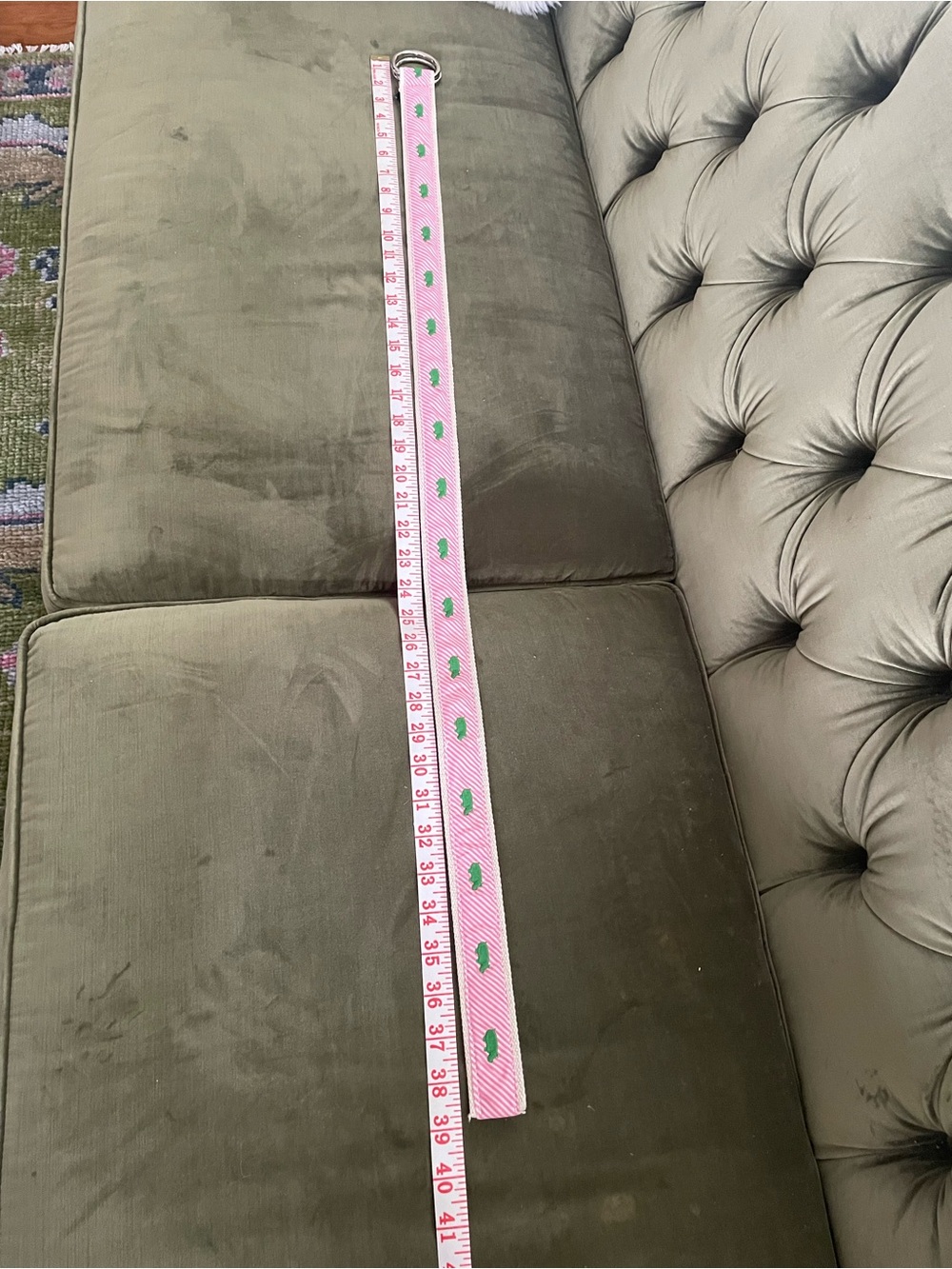 J. Crew Pink Striped Belt with Green Embroidered Hippo and Silver Rings - Picture 10 of 14